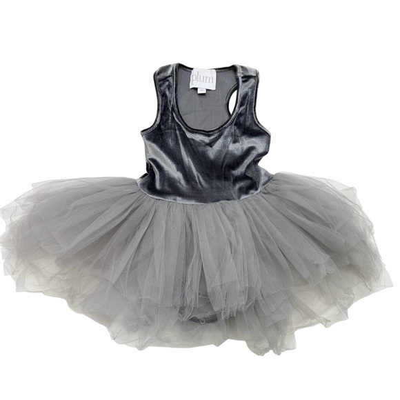 Plum Kids Silver Velvet Tulle Outfit size 8 - Picture 1 of 4